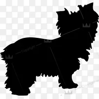 波斯猫贴狗贴牌聚氯乙烯-狗-空若网 波斯猫贴狗贴牌聚氯乙烯-狗-空若网