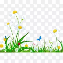 笔记本电脑桌面壁纸花高清电视剪辑艺术-夏季-空若网 笔记本电脑桌面壁纸花高清电视剪辑艺术-夏季-空若网