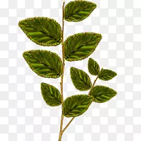 图片Naver博客png图片图形.Photoshop-空若网 图片Naver博客png图片图形.Photoshop-空若网