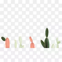 �����и��������������޹�˾�������ƴ���������ƿ���ֲ��-����������-������