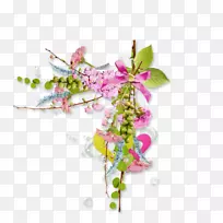 剪贴画边框绘画-空若网 剪贴画边框绘画-空若网