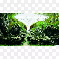 �Ǵ���������ˮ���ˮ��ֲ��ˮ��ݾ���-ˮ���-������