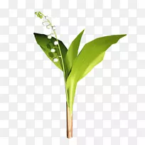 pngͼƬ¼ô¼ÒÕÊõͼƬÖÐÐIJ©¿Í»æÍ¼.»¨»ÜºÍÖ²Îï-¿ÕÈôÍø pngͼƬ¼ô¼ÒÕÊõͼƬÖÐÐIJ©¿Í»æÍ¼.»¨»ÜºÍÖ²Îï-¿ÕÈôÍø