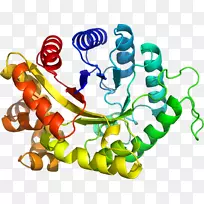 剪贴画有机体线身首饰-空若网 剪贴画有机体线身首饰-空若网