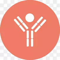 单克隆抗体抗原股摄影adalimumab-dna标记-空若网 单克隆抗体抗原股摄影adalimumab-dna标记-空若网