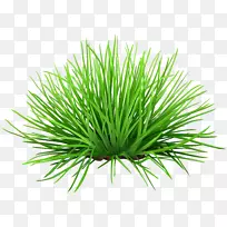 图形剪贴画png图片计算机图标图像-空若网 图形剪贴画png图片计算机图标图像-空若网