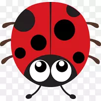 甲虫图形插图剪贴画免费甲虫-空若网 甲虫图形插图剪贴画免费甲虫-空若网