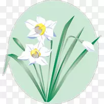 水仙花图形花卉剪贴画图像-花-空若网 水仙花图形花卉剪贴画图像-花-空若网