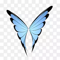 帝王蝶昆虫png图片图像蝴蝶-空若网 帝王蝶昆虫png图片图像蝴蝶-空若网