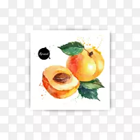 ˮ�ʻ���ͼͼ��ˮ���߲˶���-������