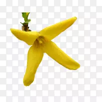 Naver博客png图片图像-forsycje-空若网 Naver博客png图片图像-forsycje-空若网