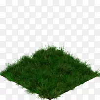 �ݱ�ֲ��-������