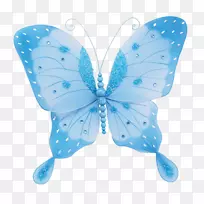 蝴蝶园艺昆虫-蝴蝶-空若网 蝴蝶园艺昆虫-蝴蝶-空若网