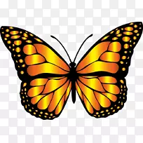 帝王蝴蝶昆虫剪贴画-蝴蝶剪贴画-空若网 帝王蝴蝶昆虫剪贴画-蝴蝶剪贴画-空若网