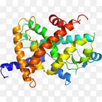 �鱦����������л���-������