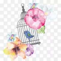 花鸟设计png图片图像-花鸟-空若网 花鸟设计png图片图像-花鸟-空若网