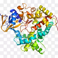 �������л�����������-������