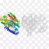 插画艺术有机体线身首饰-WVU足球-空若网 插画艺术有机体线身首饰-WVU足球-空若网