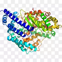 珠夹艺术珠宝首饰产品-WVU足球-空若网 珠夹艺术珠宝首饰产品-WVU足球-空若网