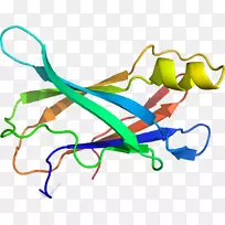 剪贴画生产线点植物茎-空若网 剪贴画生产线点植物茎-空若网