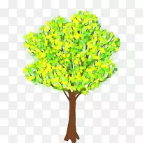 �����ɼ�����-��-������