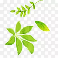 pngͼƬͼÐβåͼͼÏñË®²Ê».Ê÷Ò¶-¿ÕÈôÍø pngͼƬͼÐβåͼͼÏñË®²Ê».Ê÷Ò¶-¿ÕÈôÍø