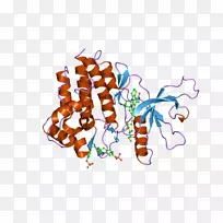 插画艺术产品有机体-空若网 插画艺术产品有机体-空若网