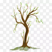 ������pngͼƬ��������ݲ�ͼ-ֲ��ѿ-������