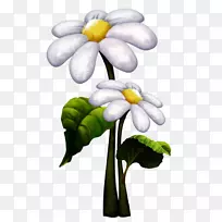 Duende摄影png图片图像花-空若网 Duende摄影png图片图像花-空若网