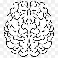 ���˰ÿ����������ͼƬ��ӰShutterstock-����˹�ؿ�-������