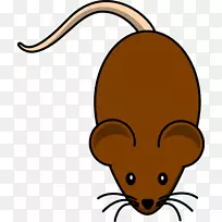 ���󲩿ͼ�����-��ɫ������-������