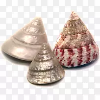 电子邮件帕劳英语海-空若网 电子邮件帕劳英语海-空若网