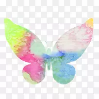 图形蝴蝶图像水彩画蝴蝶水-空若网 图形蝴蝶图像水彩画蝴蝶水-空若网