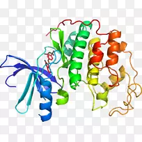 剪贴画有机体植物系动物-空若网 剪贴画有机体植物系动物-空若网
