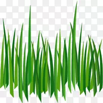 ¼ôÌù»pngÍ¼Æ¬ÎÆÀíÓ³Éä²ÝƺͼÏñ½½Ë®²Ý-¿ÕÈôÍø ¼ôÌù»pngÍ¼Æ¬ÎÆÀíÓ³Éä²ÝƺͼÏñ½½Ë®²Ý-¿ÕÈôÍø