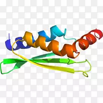 剪贴画产品有机体线橙色S.A。-空若网 剪贴画产品有机体线橙色S.A。-空若网