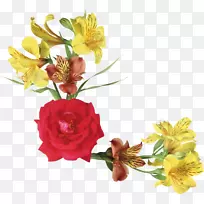 摄影插花艺术-空若网 摄影插花艺术-空若网