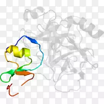 �����������ߵ��л���-������