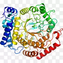 剪贴画有机体线身首饰-空若网 剪贴画有机体线身首饰-空若网