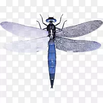 ���ѣ�pngͼƬ��������ͼ��.����-������