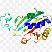 ��������Ʒ�л����߶���-������