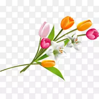 »¨ÊøÓô½ðÏ㵯»É-¿ÕÈôÍø »¨ÊøÓô½ðÏ㵯»É-¿ÕÈôÍø