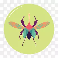 蝴蝶剪贴画昆虫插图产品-蝴蝶-空若网 蝴蝶剪贴画昆虫插图产品-蝴蝶-空若网