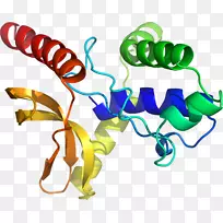 �������޼�׵�����߶������-������