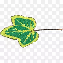 ��������Ҷֲ�ﾥ-������