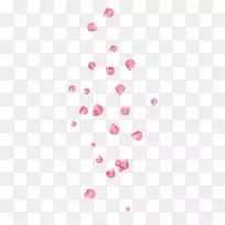 png图片adobe Photoshop图像MOMO无花色花瓣-空若网 png图片adobe Photoshop图像MOMO无花色花瓣-空若网