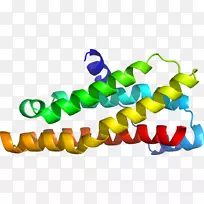 剪贴画线产品短信.免疫球蛋白m-空若网 剪贴画线产品短信.免疫球蛋白m-空若网