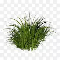 pngͼƬ��������ͼ���ͼ����Photoshop-������