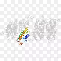 插图图形设计字体产品有机体-空若网 插图图形设计字体产品有机体-空若网