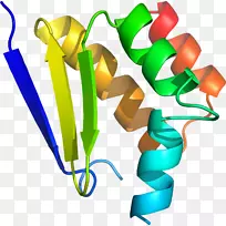 ������������ֲ�ﾥ����-������